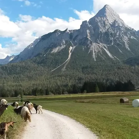 Haus Andrea Apartment Lermoos